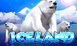Iceland 冰雪世界 DD北極熊Mega888