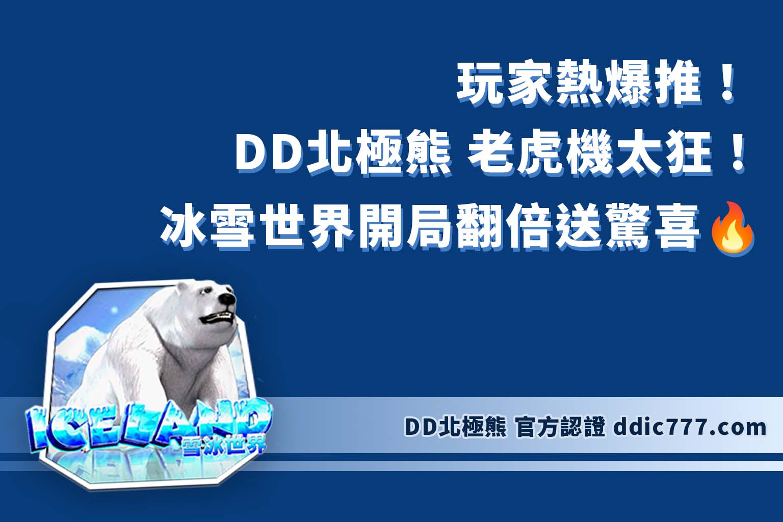 DD北極熊老虎機太狂！冰雪世界翻倍送驚喜